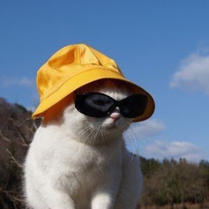 Meet your Posher, Elise